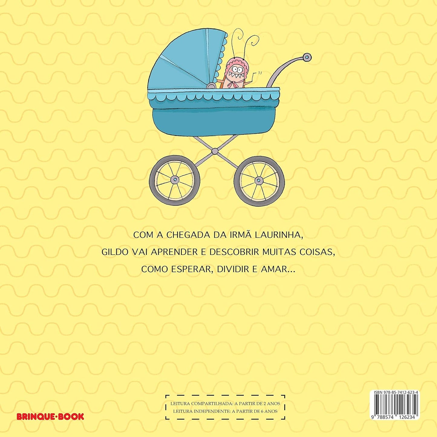 Contracapa do livro A irmã do Gildo