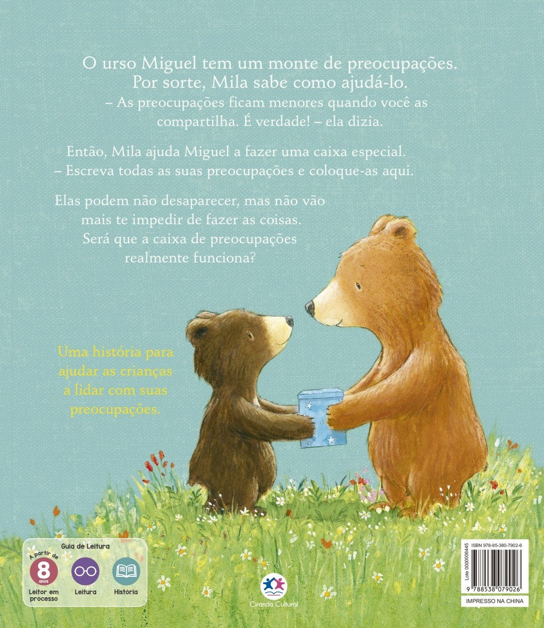 Contracapa do livro A caixa de preocupações