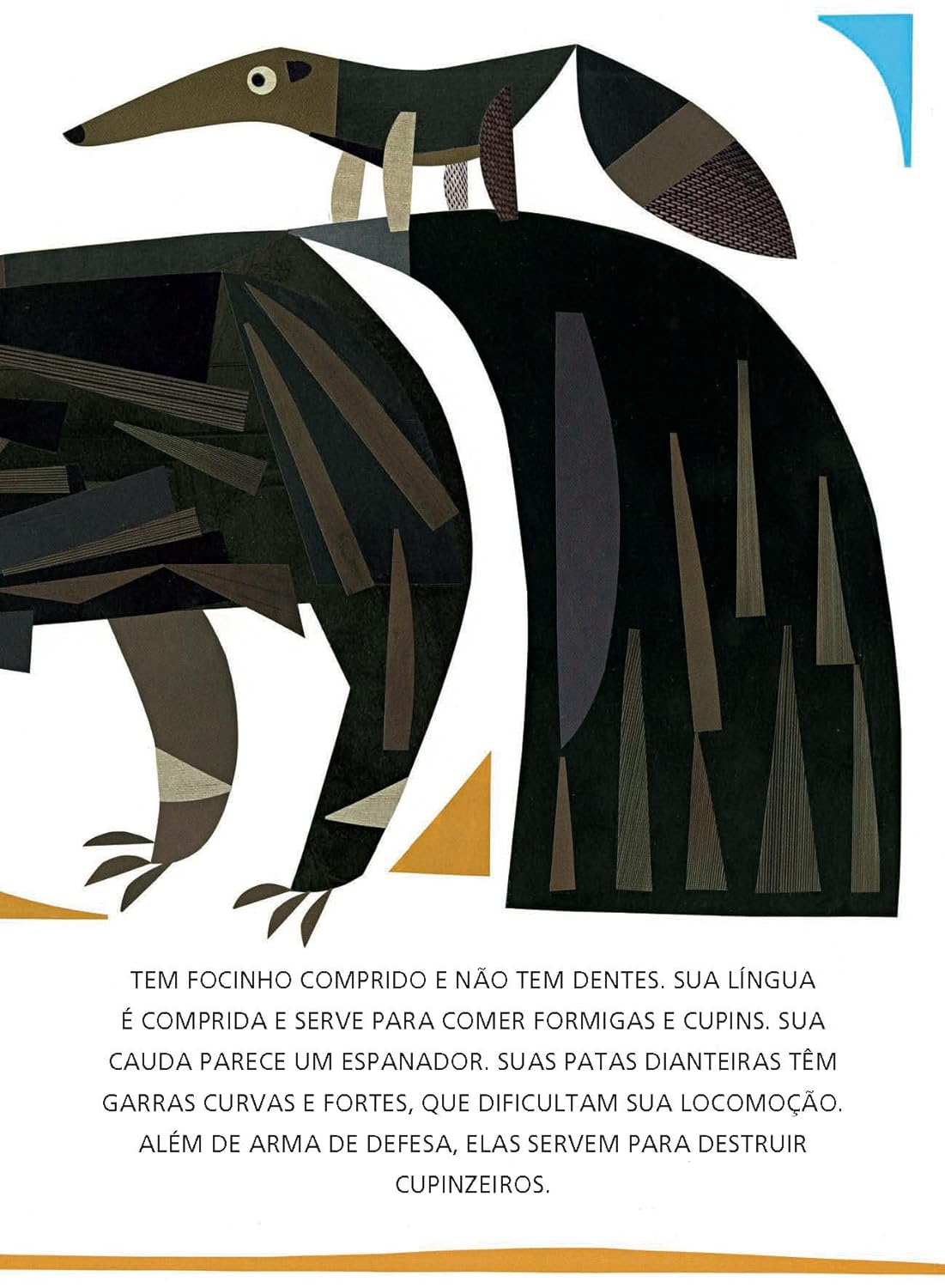 Página do livro Abecedário de bichos brasileiros