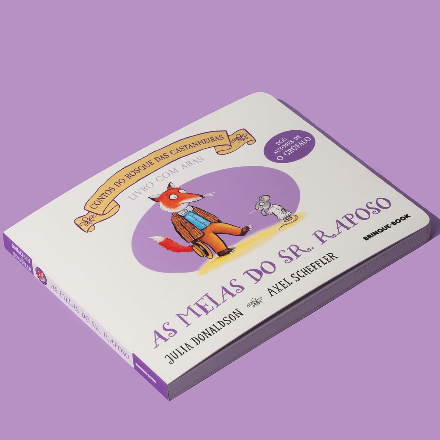 Páginas do livro As meias do Sr Raposo