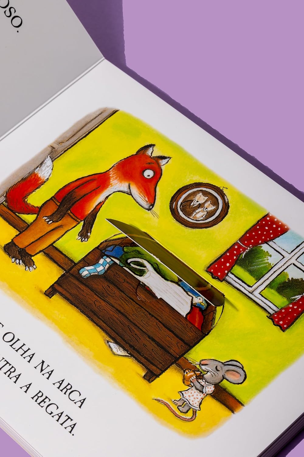 Páginas do livro As meias do Sr Raposo