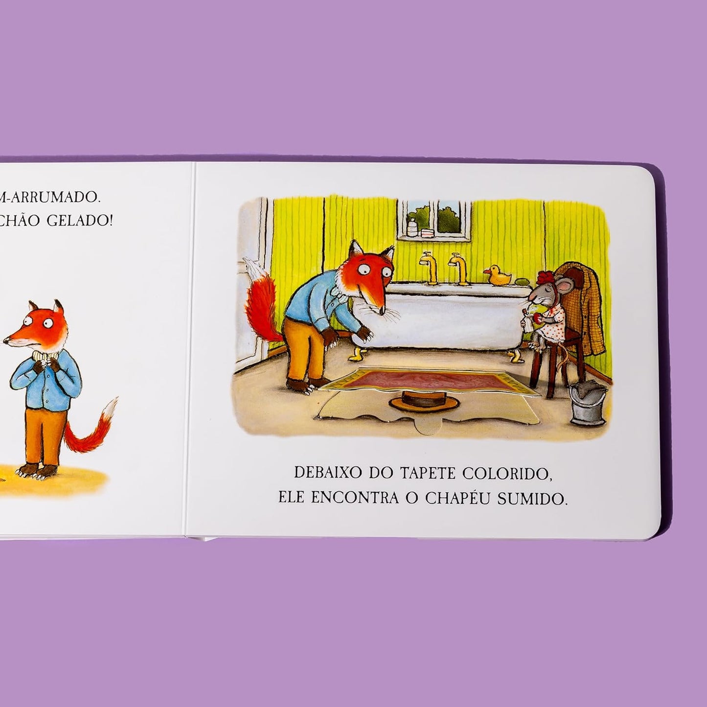 Páginas do livro As meias do Sr Raposo