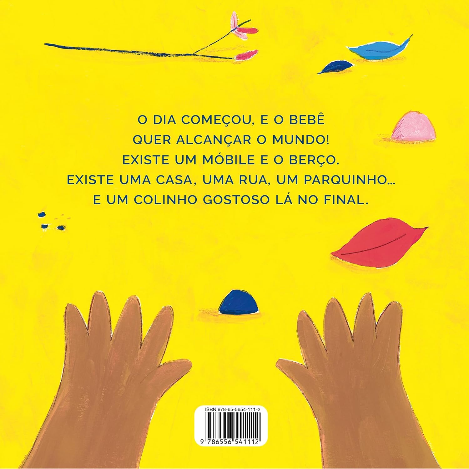 Contracapa do livro Berço, balanço, colinho, neném