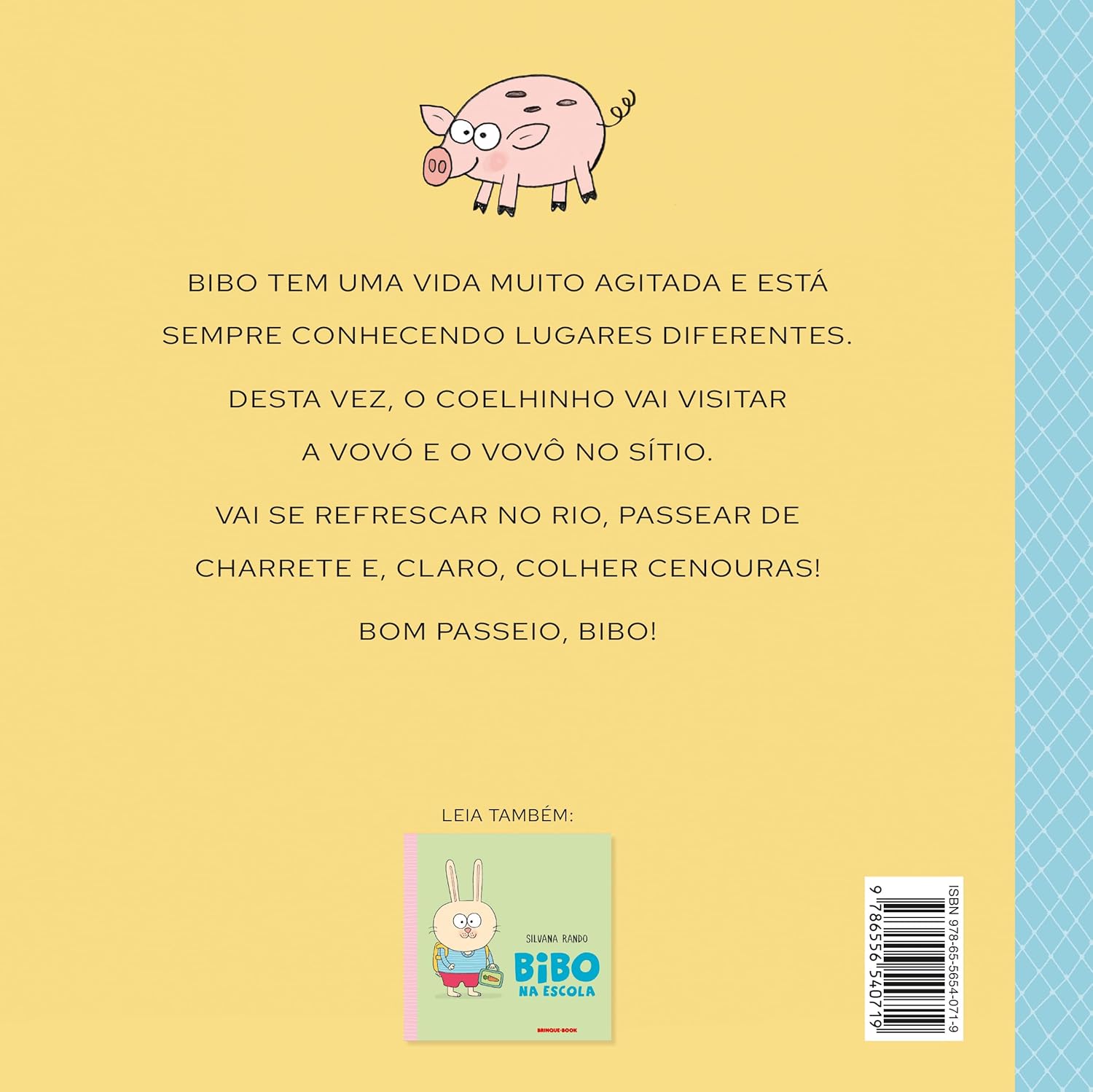 Contracapa do livro Bibo no Sitio