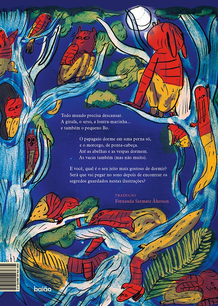 Contracapa do livro Boa noite, Bo