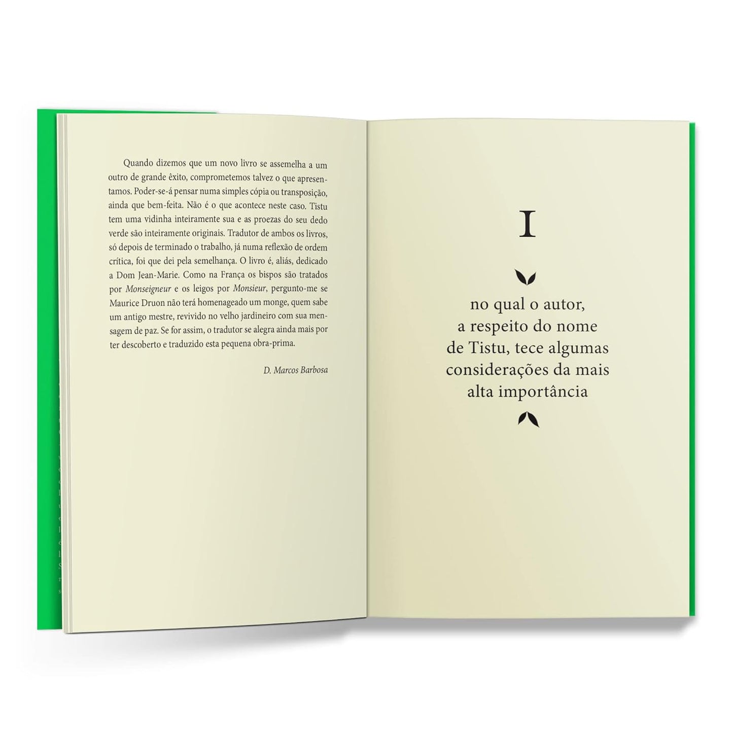 Páginas do livro O menino do dedo verde