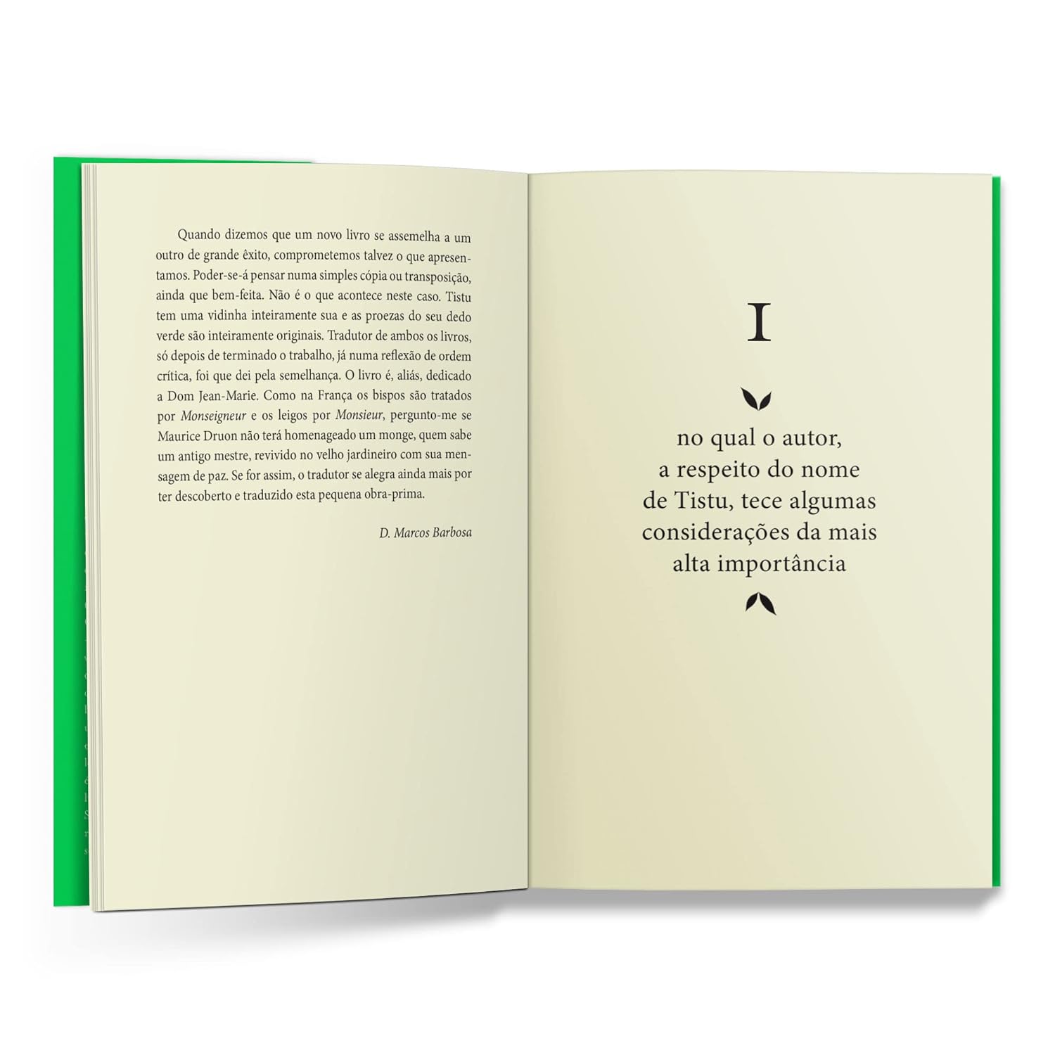 Páginas do livro O menino do dedo verde