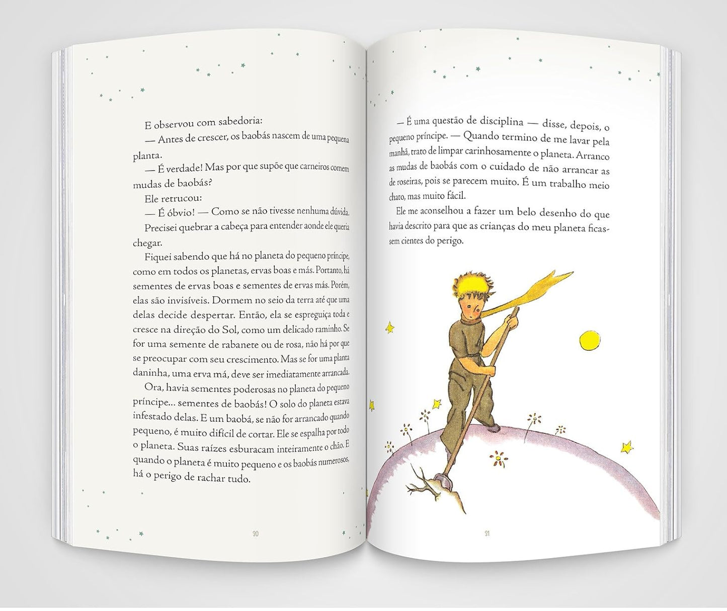 Páginas do livro O pequeno príncipe