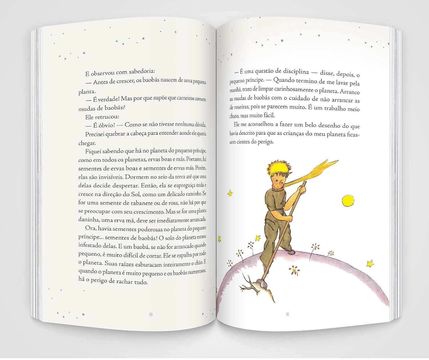 Páginas do livro O pequeno príncipe