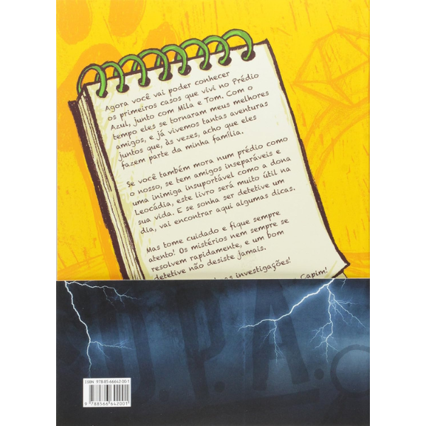Os Detetives do Prédio Azul: Primeiros Casos