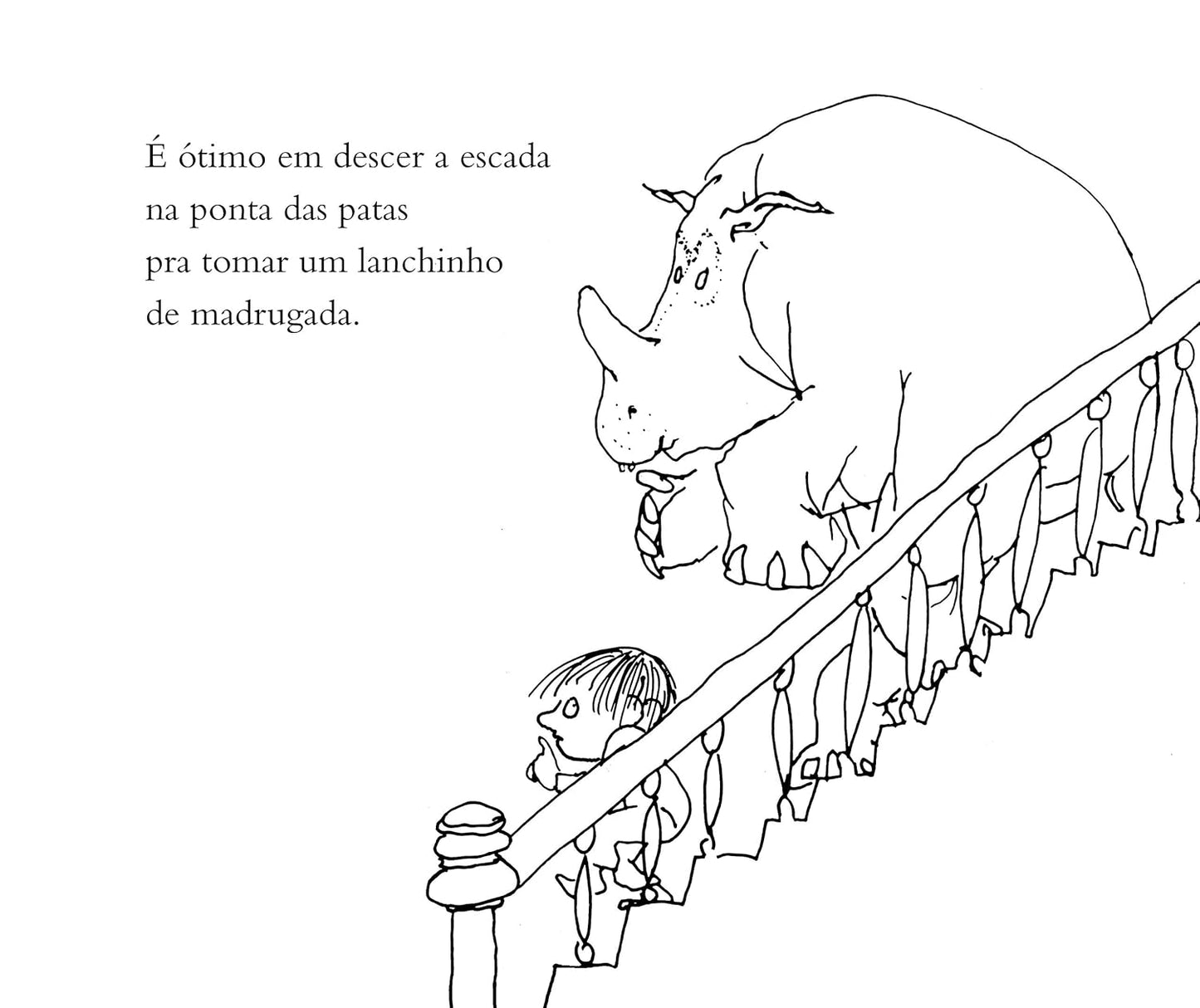 Páginas do livro Quem quer este rinoceronte?