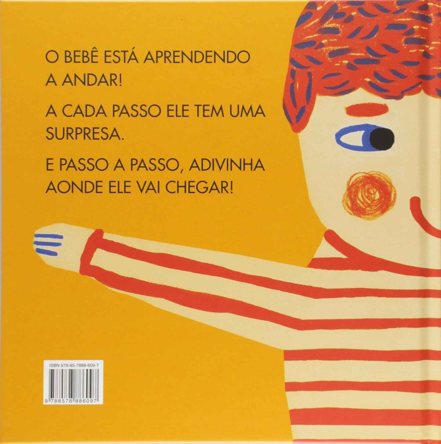 Contracapa do livro Um abraço passo a passo