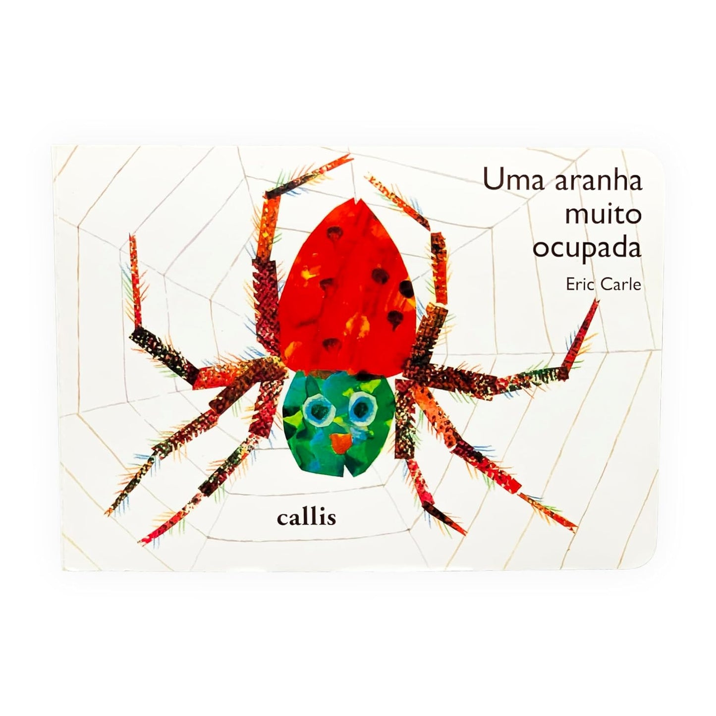 Capa do livro uma aranha muito ocupada